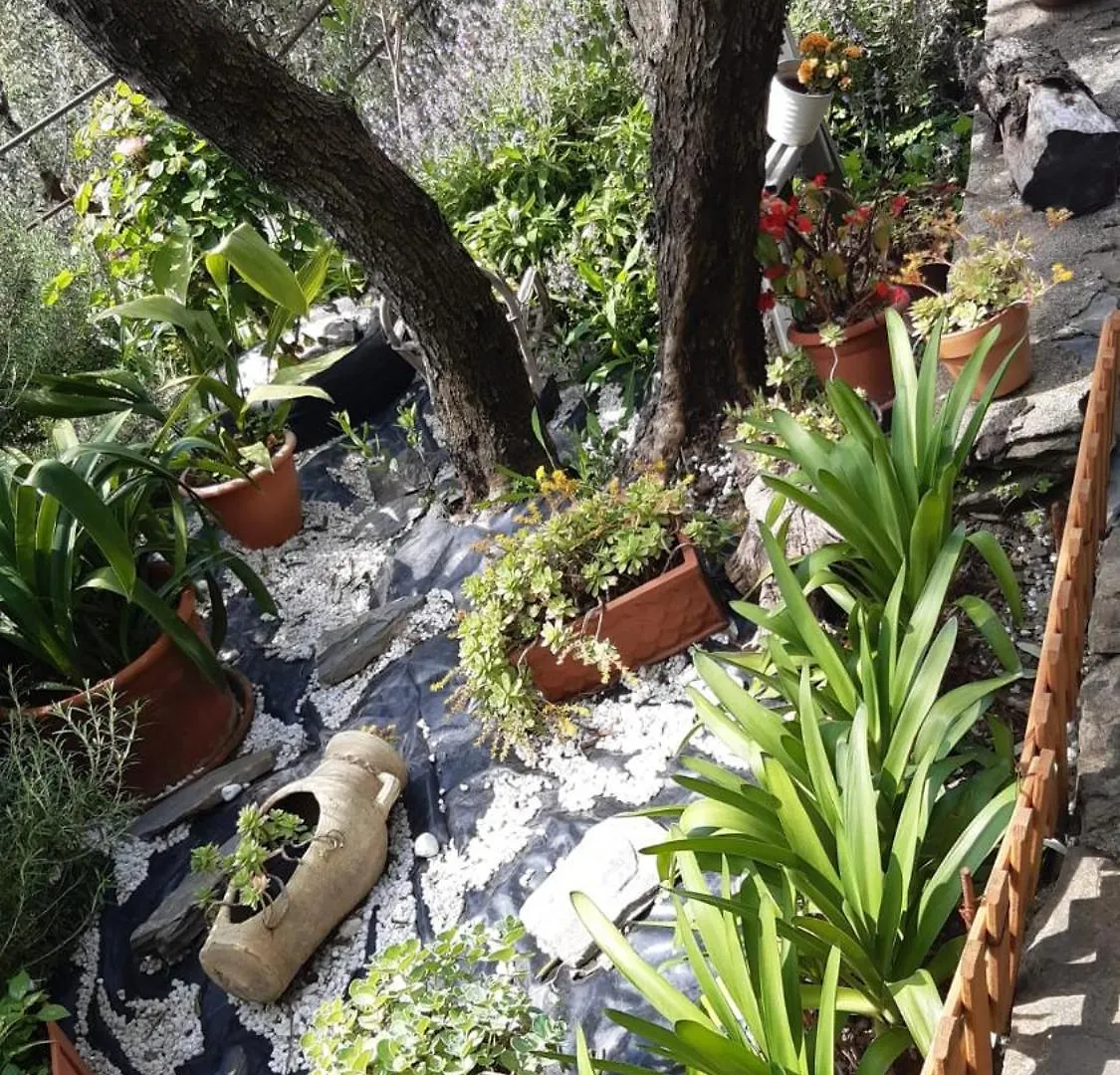 Farm stay Agriturismo I Pipetta Levanto Italy